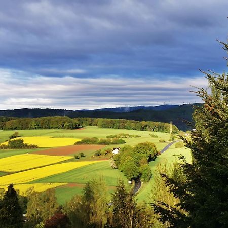 Geraeumige 2-Z Wohnung Im Gruenen, Garten, Terrasse, Ruhig, Natur, Phantastischer Blick! Marburg Buitenkant foto