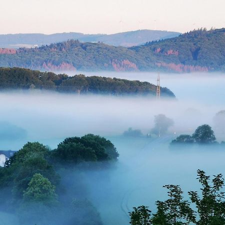 Geraeumige 2-Z Wohnung Im Gruenen, Garten, Terrasse, Ruhig, Natur, Phantastischer Blick! Marburg Buitenkant foto