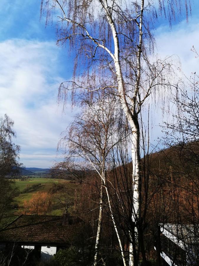 Geraeumige 2-Z Wohnung Im Gruenen, Garten, Terrasse, Ruhig, Natur, Phantastischer Blick! Marburg Buitenkant foto