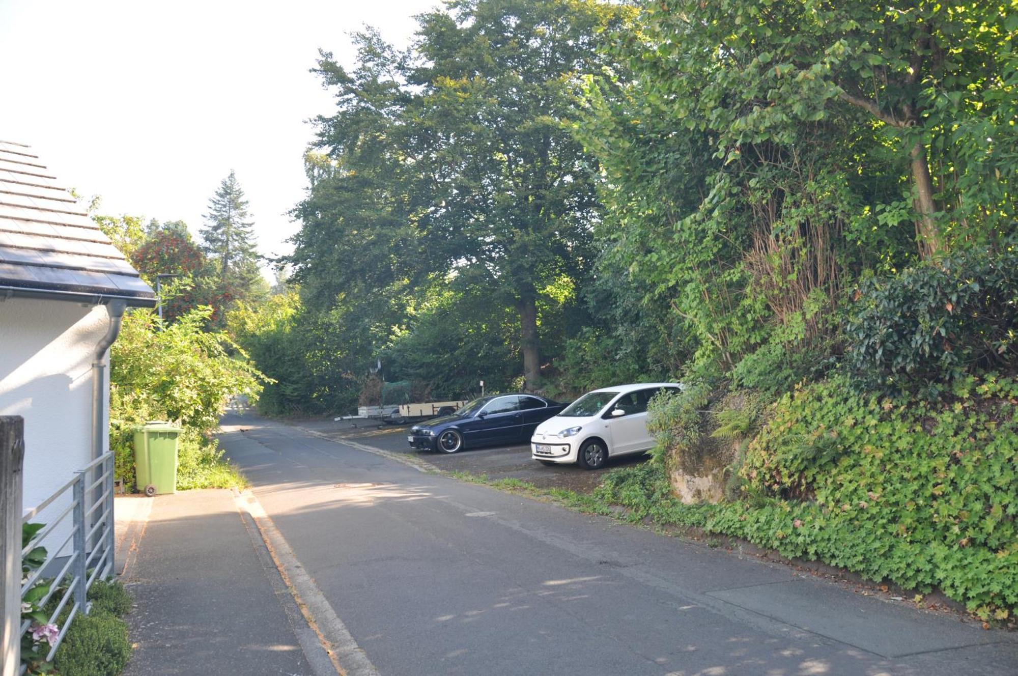 Geraeumige 2-Z Wohnung Im Gruenen, Garten, Terrasse, Ruhig, Natur, Phantastischer Blick! Marburg Buitenkant foto