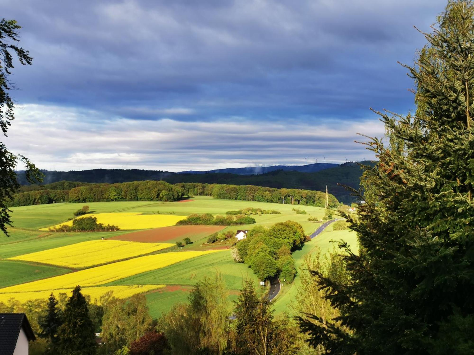 Geraeumige 2-Z Wohnung Im Gruenen, Garten, Terrasse, Ruhig, Natur, Phantastischer Blick! Marburg Buitenkant foto