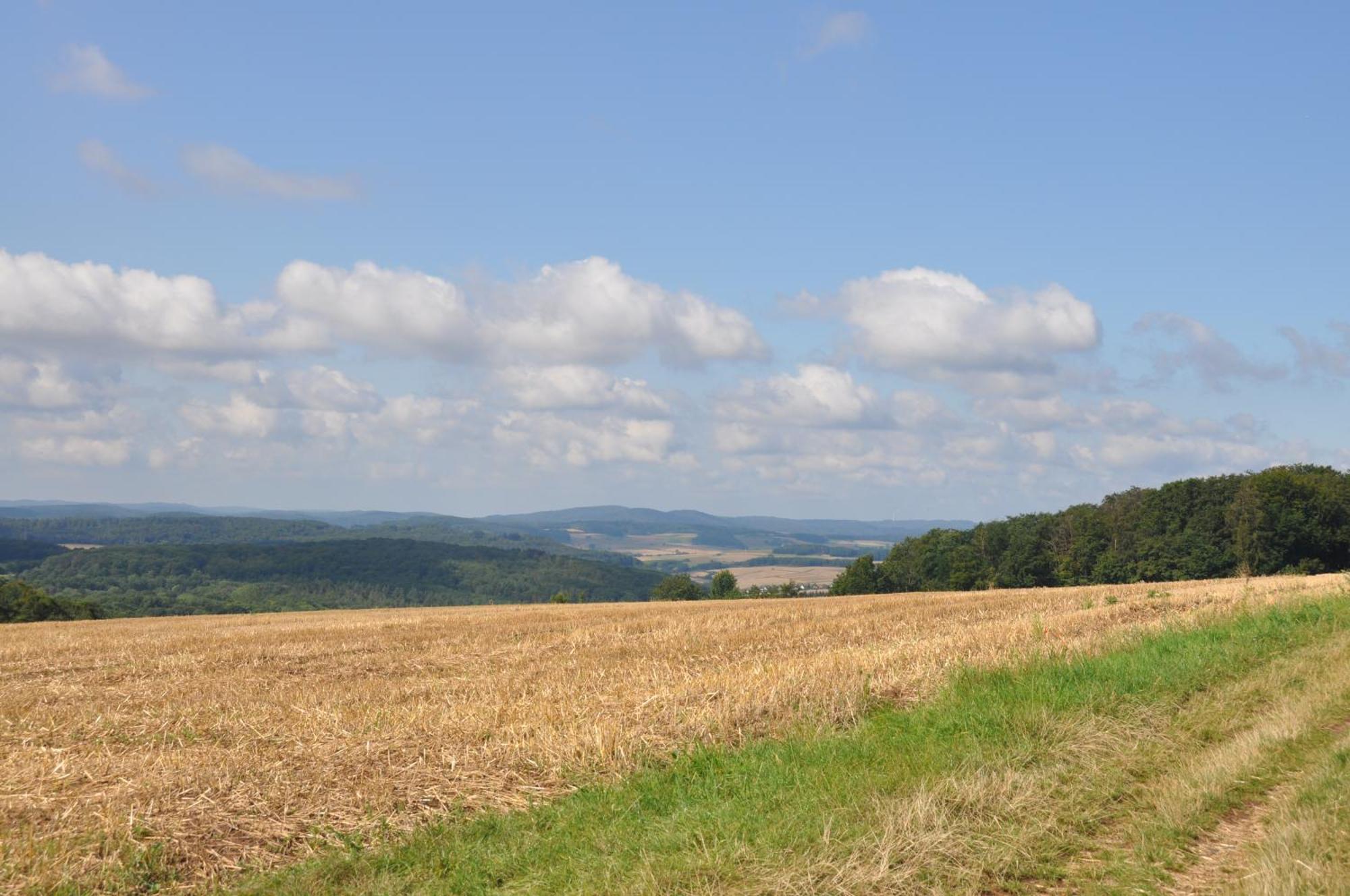 Geraeumige 2-Z Wohnung Im Gruenen, Garten, Terrasse, Ruhig, Natur, Phantastischer Blick! Marburg Buitenkant foto